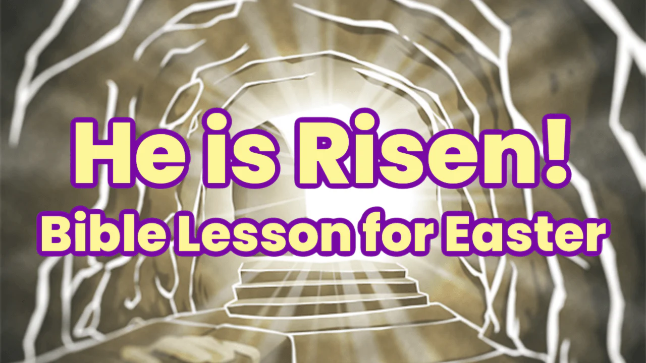 Thumbnail 13